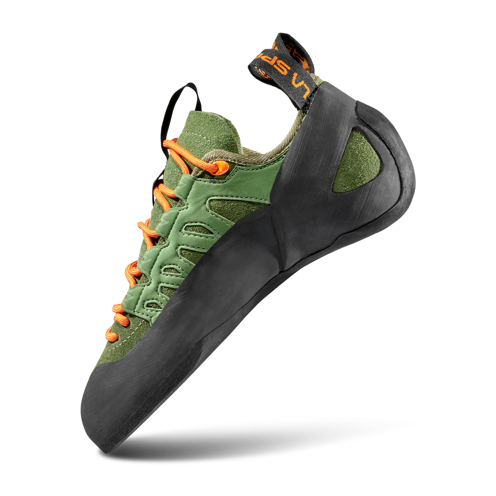 Tarantulace Pies de gato Escalada