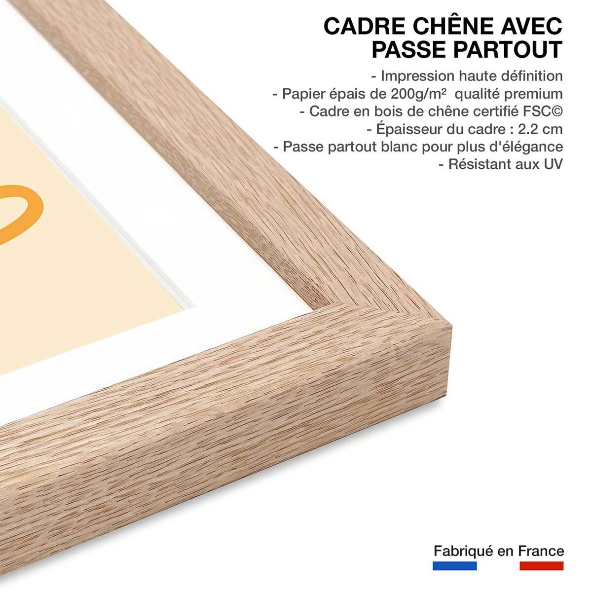 Affiche enfant rainbow lion Affiche sous cadre bois