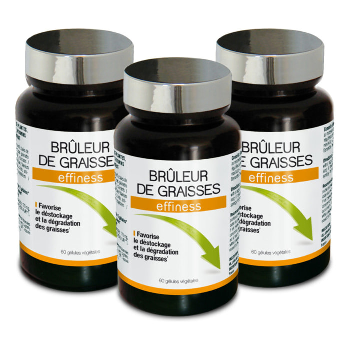 NUTRI EXPERT - Effiness Brûleur de Graisses - Déstocke Et Dégrade Les Graisses - Aide Minceur Et Perte De Poids - Formule Renforcée - Guarana Maté Thé Vert Chrome Choline - Lot de 3 produits
