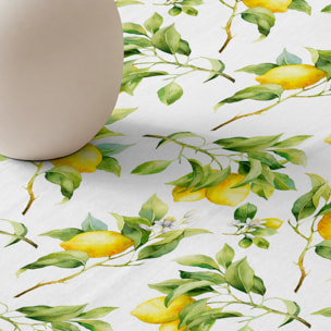 Nappe anti-taches 100 % coton Bettina 924-1 100