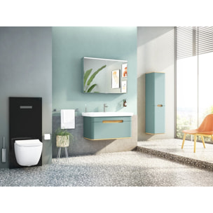 Vitrus bâti-support design pour WC suspendus avec plaque de commande, verre de sécurité, noir (870-5761-01)