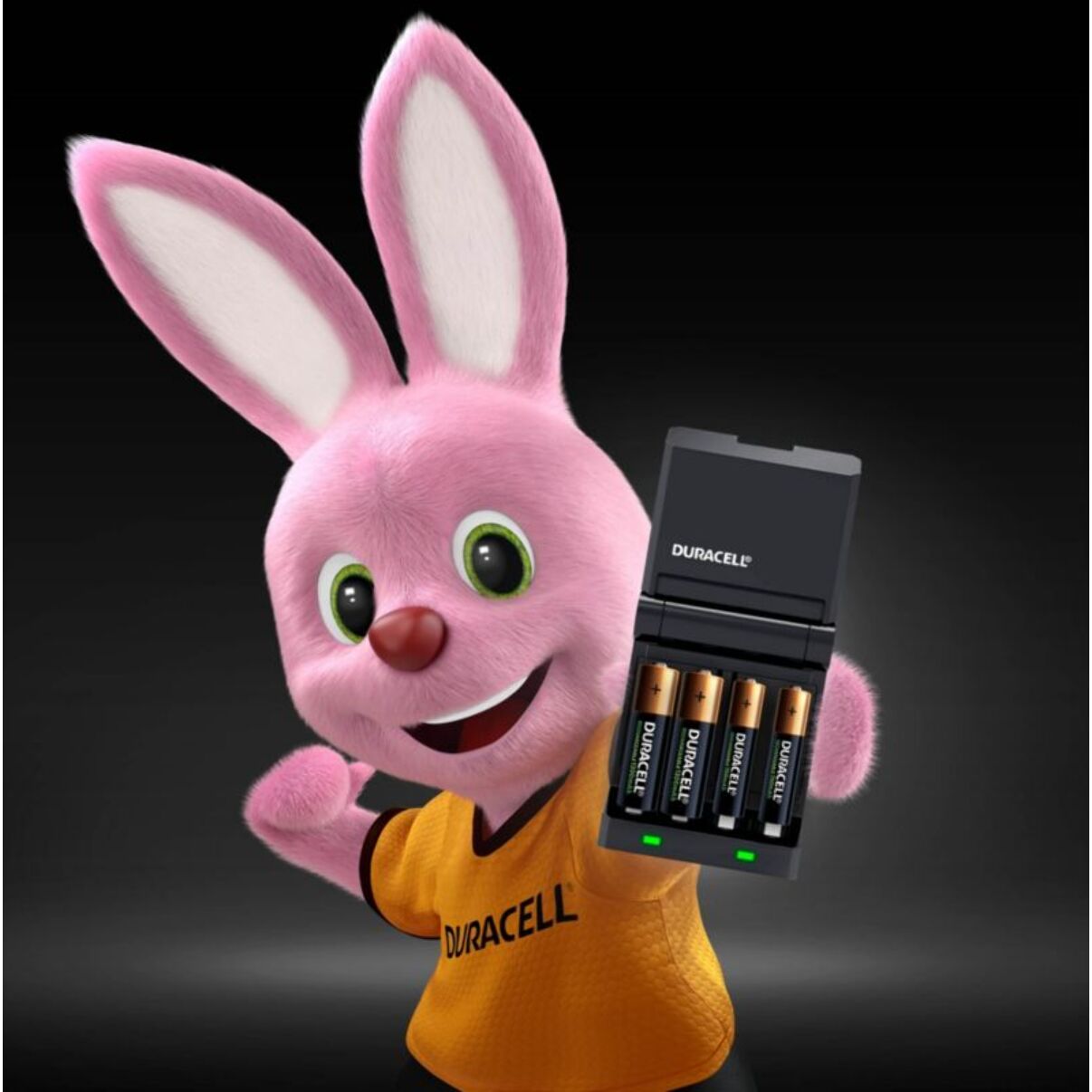 Chargeur secteur DURACELL 15 Min CEF27 + AA/AAA x2