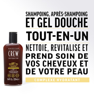 3-en-1 Gingembre Thé - Shampooing 3en1 Revitalisant et Hydratant 450 ml
