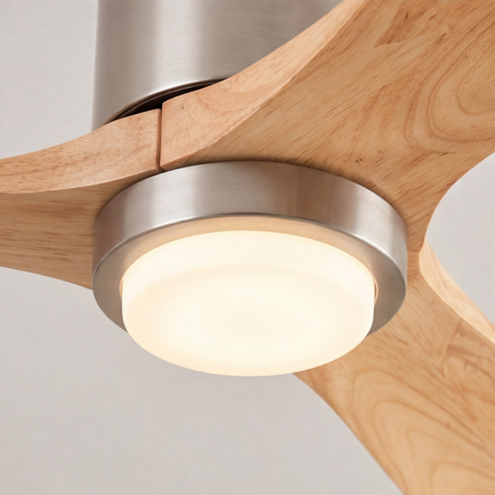 Forlight STEM | Ventilador Diametro 1370mm | Selección de temperatura de color | Color niquel satinado | Palas acabado de madera clara