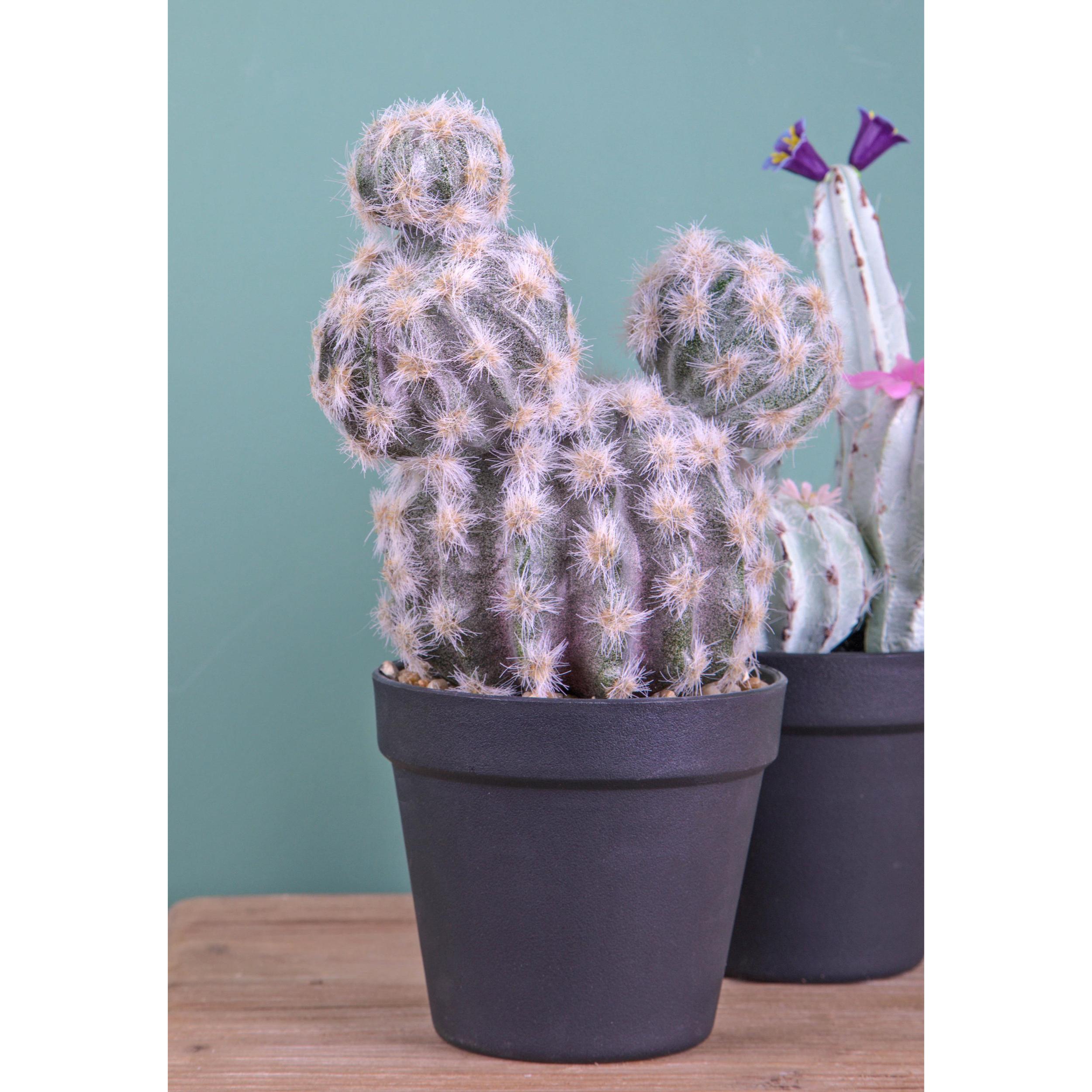 Cactus Con Vaso. Altezza 28 Cm - Pezzi 1 - 16X28X16cm - Colore: Altro - Bianchi Dino - Piante Artificiali