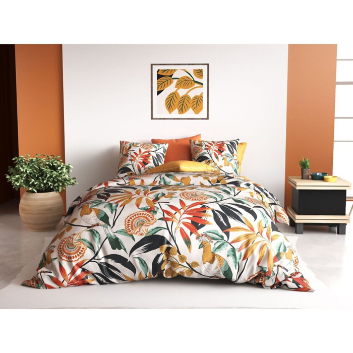 Parure Housse De Couette 3pcs 100% Coton 57fils Ninon