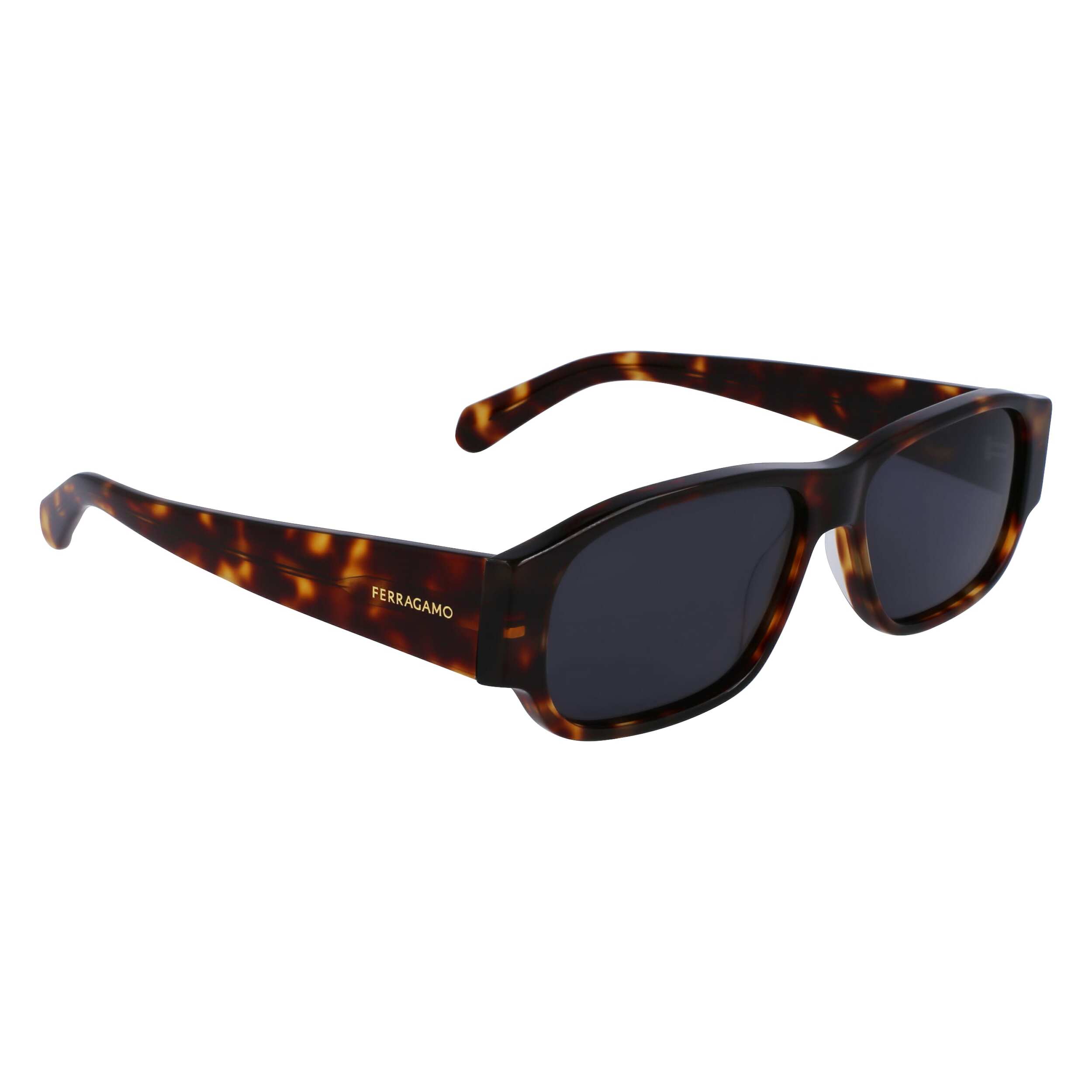 Gafas de sol Ferragamo Hombre SF1109S-5714242