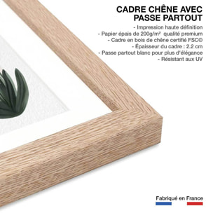 Affiche enfant le monde de coco dino  Affiche sous cadre bois