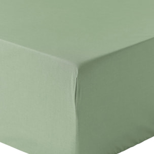 Drap Housse - 100%percale De Coton 80 Fils/cm2-bonnet 30cm-uni Sauge