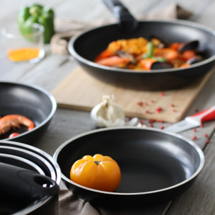 Poêle amovible en aluminium 24cm - tous feux IRIS ALU