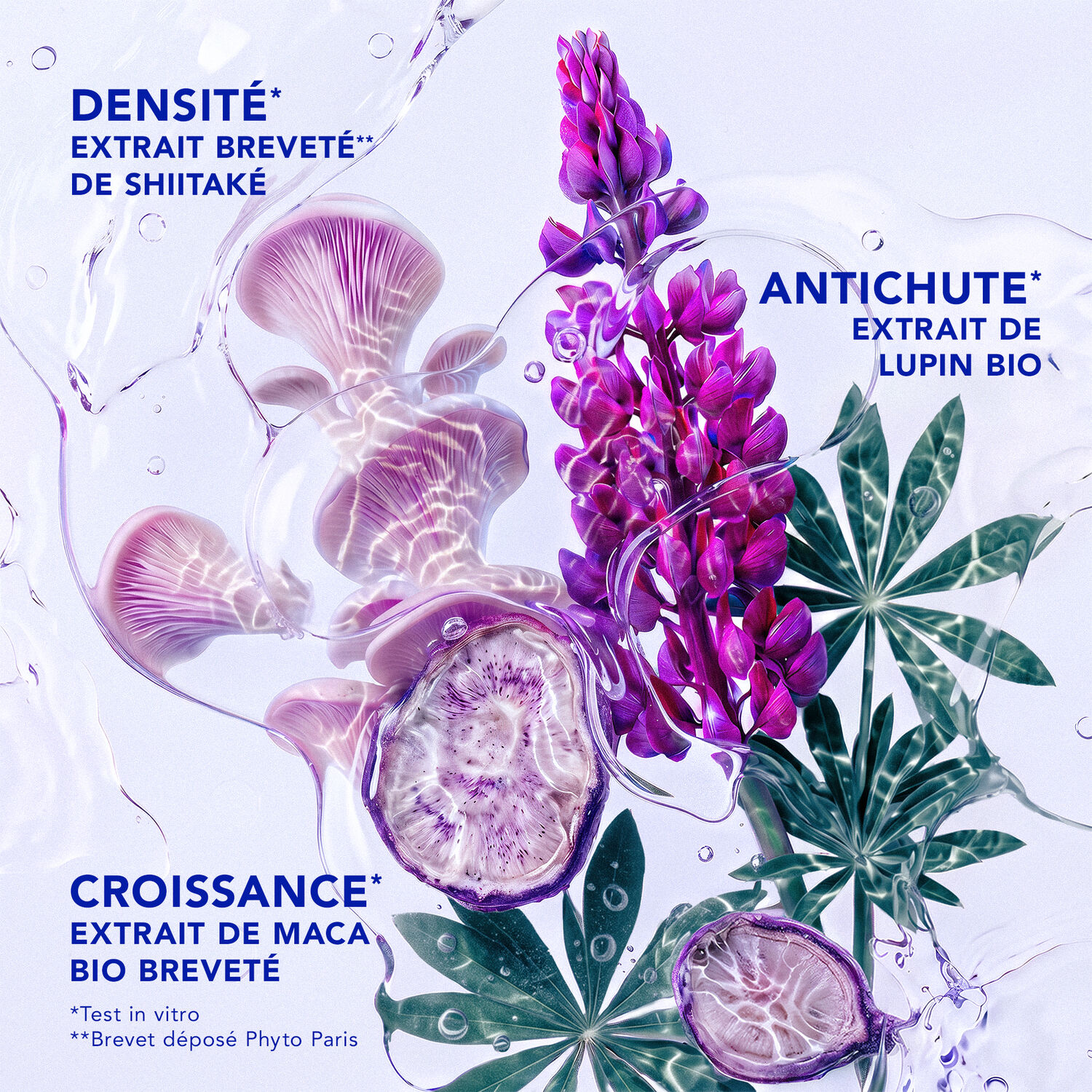 Phytocyane - Shampooing Antichute Homme