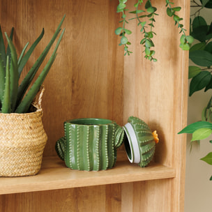 Boîte déco "Yuca" céramique vert 16xH15,5x11cm