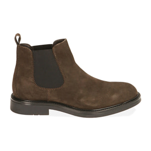 Chelsea boots testa di moro in camoscio