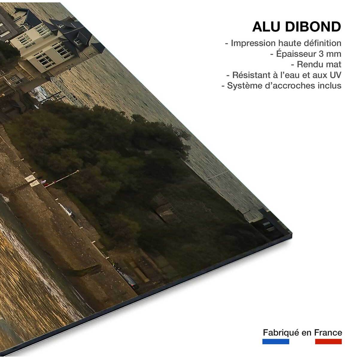 Tableau paysage ocean biarritz et la villa belza  Tableau alu Dibond