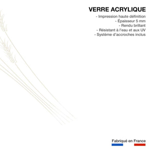 Tableau scandi blés Tableau plexiglas