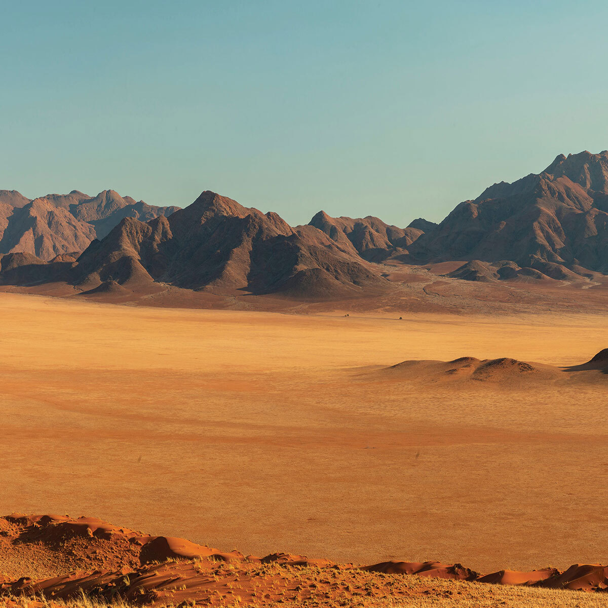 Papier peint desert wadi rum Intissé