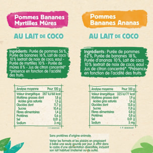 16 Gourdes 100% végétal Fruits & Lait de Coco 4x(4x90g) - Blédina Dès 6 Mois