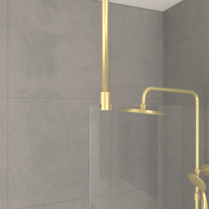Paroi de Douche 120x200cm Verre 8mm - Profilé + Barre Plafond Finition Or Brossé - FREEDOM 2 GOLD
