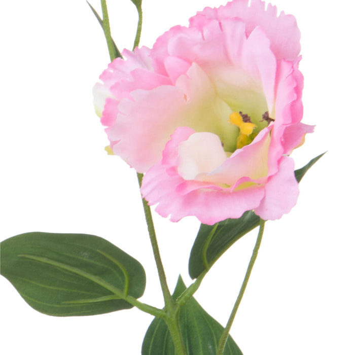 Lisianthus Composto Da 2 Fiori. Altezza 60 Cm - Pezzi 12 - 11,2X60X7,5cm - Colore: Rosa - Bianchi Dino - Fiori Artificiali