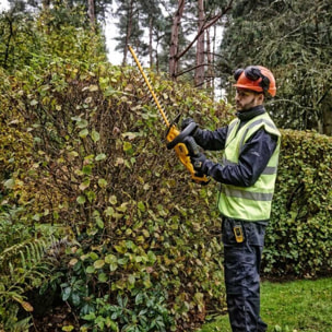 Taille haies XR 18V lamier de 55 cm - Solo - DEWALT - DCMHT563N-XJ