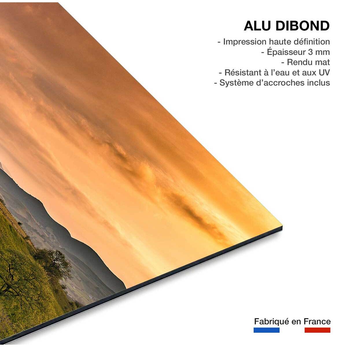 Tableau paysage nature chemin des basques  Tableau alu Dibond