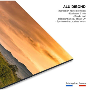 Tableau paysage nature chemin des basques  Tableau alu Dibond