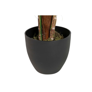 Planta Artificial Taro Con Maceta 65x65x120 Cm