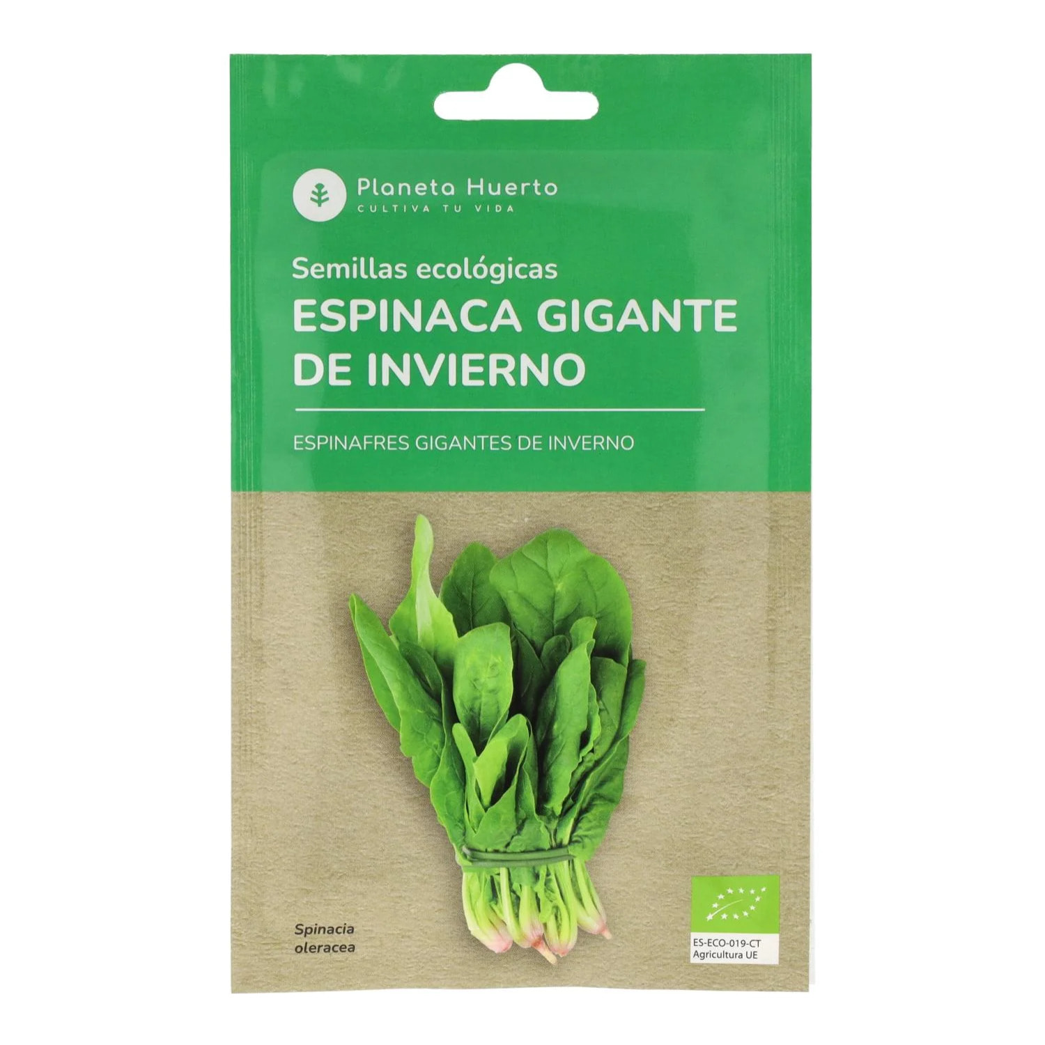 Semillas de Espinaca gigante de invierno ecológicas Planeta Huerto