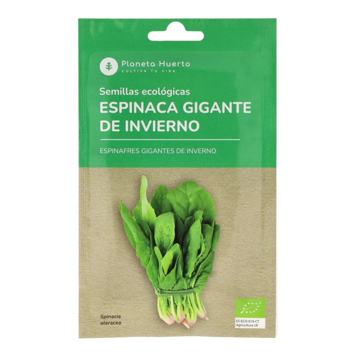 Semillas de Espinaca gigante de invierno ecológicas Planeta Huerto