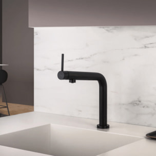 Mitigeur de cuisine PAINI Cox Slim noir mat