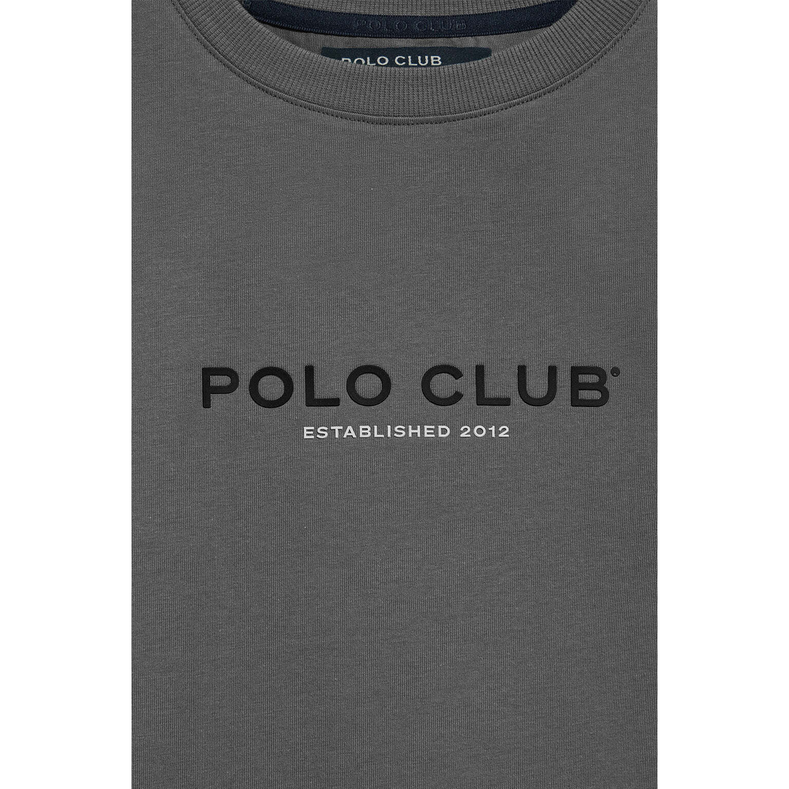 Camiseta gris asfalto de cuello redondo y logo engomado