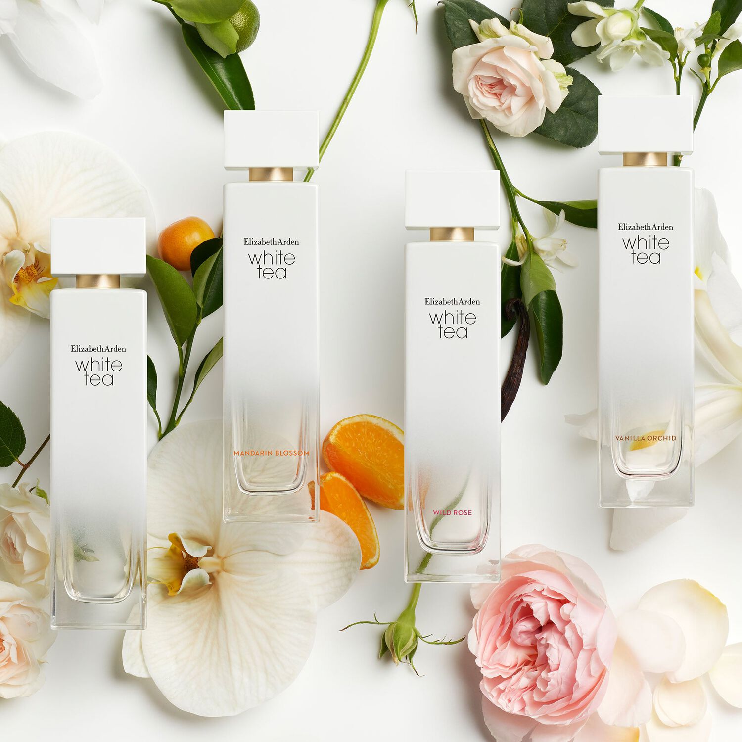 White Tea - Eau de Toilette