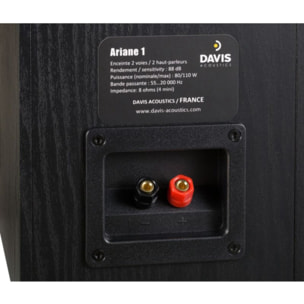 Enceinte surround DAVIS ARIANE 1 Frene noir x 2