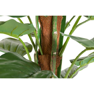 Planta Artificial Rhadhidophora Aureum 65x65x140 Cm