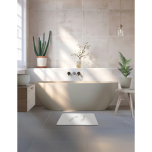 TAPIS DE BAIN DIATOMITE ECRU 80X50CM MSV