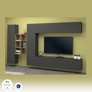 Parete attrezzata Danilo, Set salotto porta TV a 4 ante, Mobile soggiorno multiuso, 100% Made in Italy, cm 280x30h180, Antracite e Acero