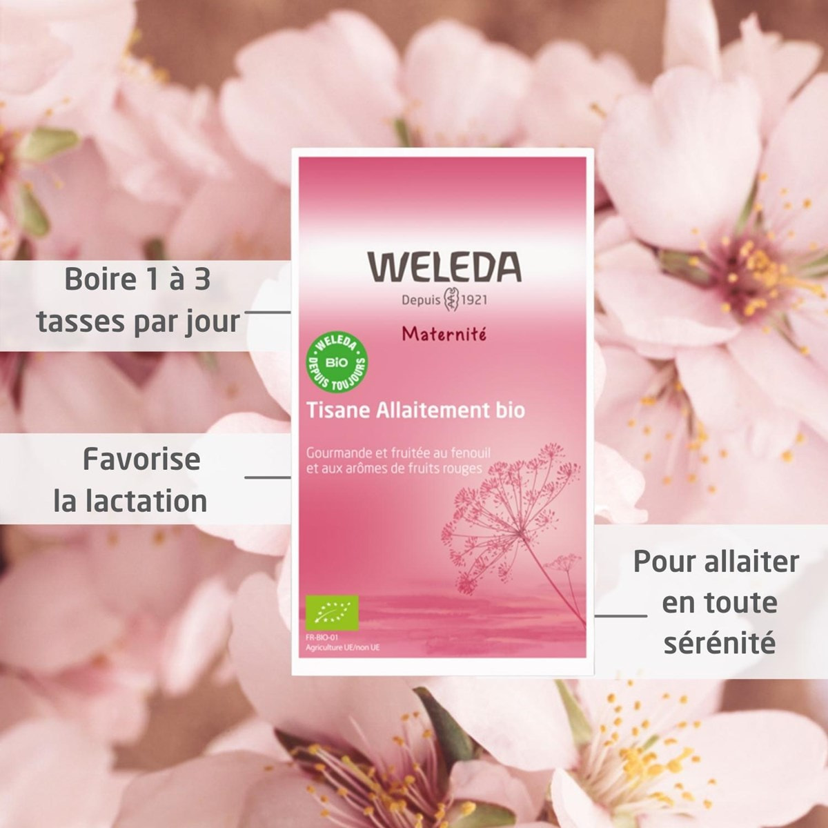 WELEDA - Tisane allaitement Fruits rouges - 20x2 g