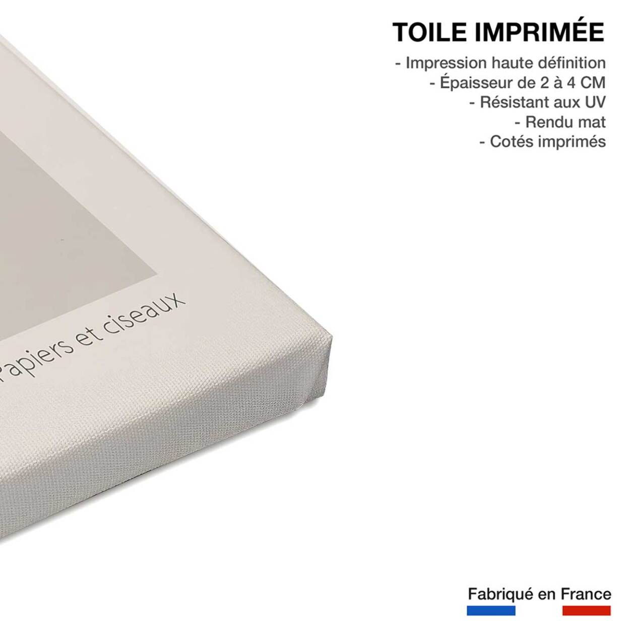 Tableau papiers et ciseaux Toile imprimée