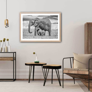 Affiche Mère éléphant Affiche + cadre en bois - Chêne