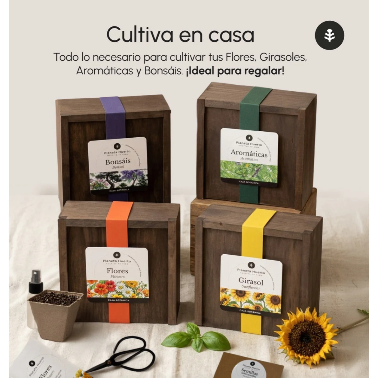 Kit de Cultivo de Aromáticas en Caja de Madera – Regalo Original Planeta Huerto