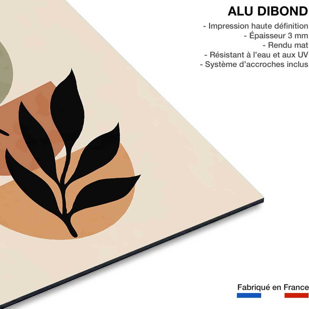 Tableau contemporain fleurs lierre  Tableau alu Dibond