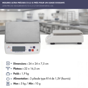 Balance électronique professionnelle - 5kg - IP53 - précision 0,5g - plateau amovible 22 x 16,5 cm