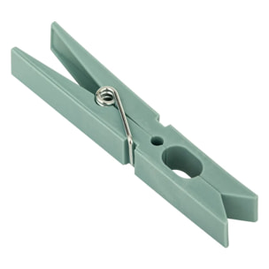 Lot de 24 pinces à linge "Sinai"