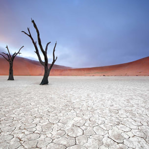 Affiche de Namibie, Le deadvlei Affiche + cadre en bois - Noir