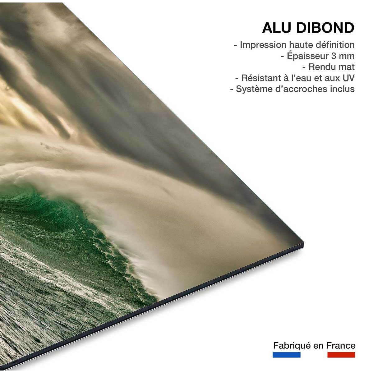 Tableau session surf belharra Tableau alu Dibond