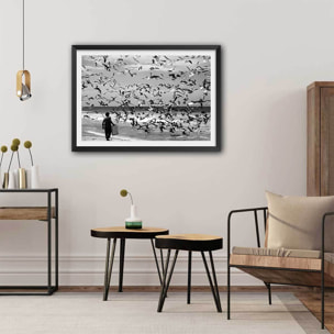 Poster festin de mouettes Affiche + cadre en bois - Noir