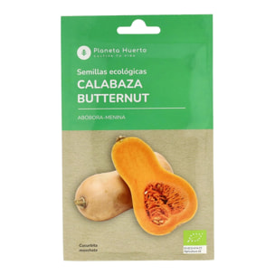 Semillas de Calabaza Butternut ecológicas Planeta Huerto