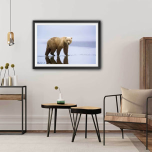 Affiche la marche de l'Ours Affiche sous cadre noir