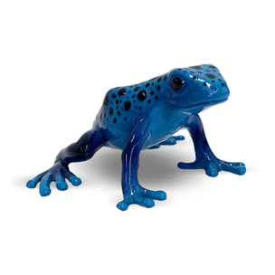Rane/Rana dardo Azureus