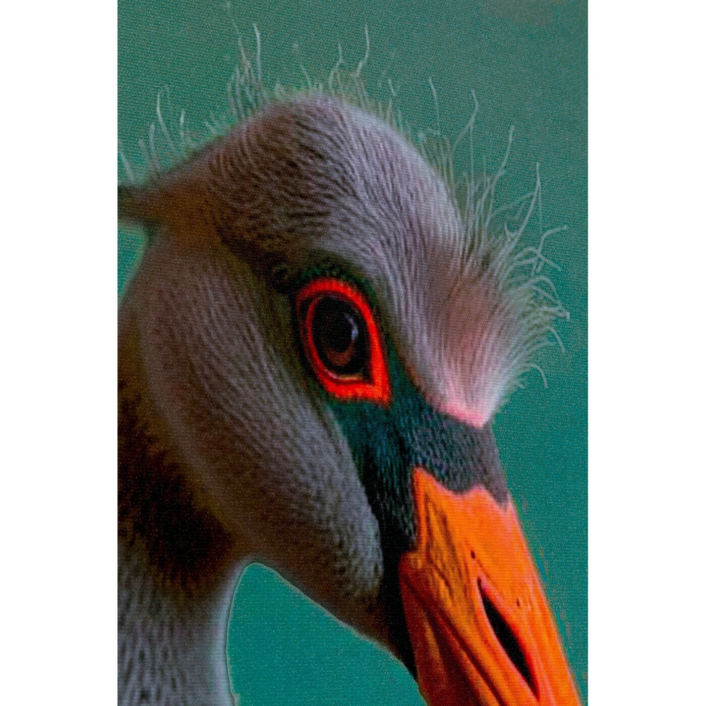 Tableau monsieur flamant rose 45x60cm Kare Design